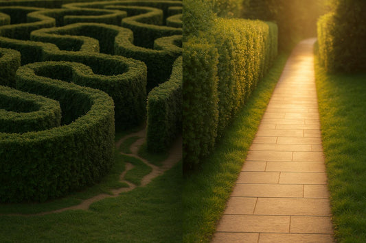How Analogies Improve Problem-Solving